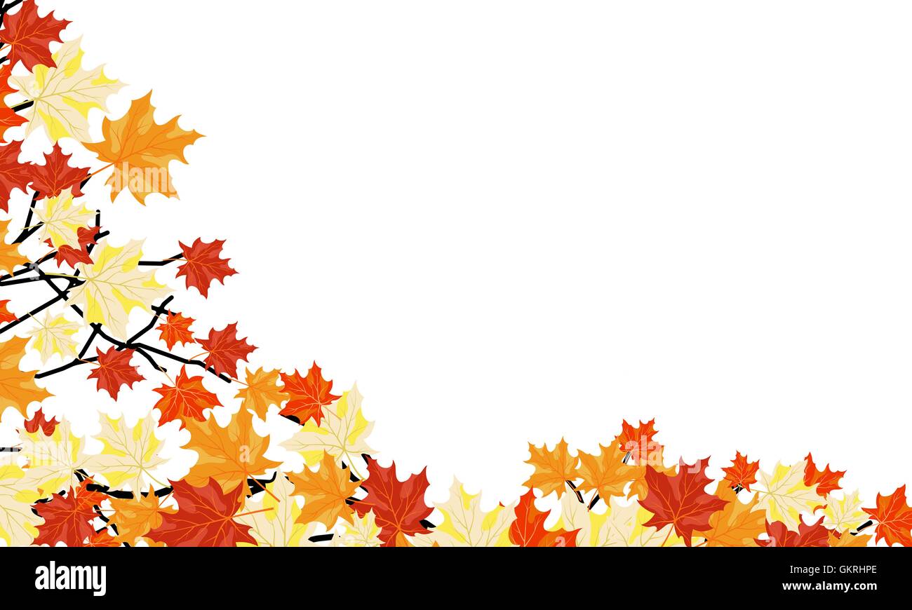 Autumn maple background Stock Vector Image & Art - Alamy