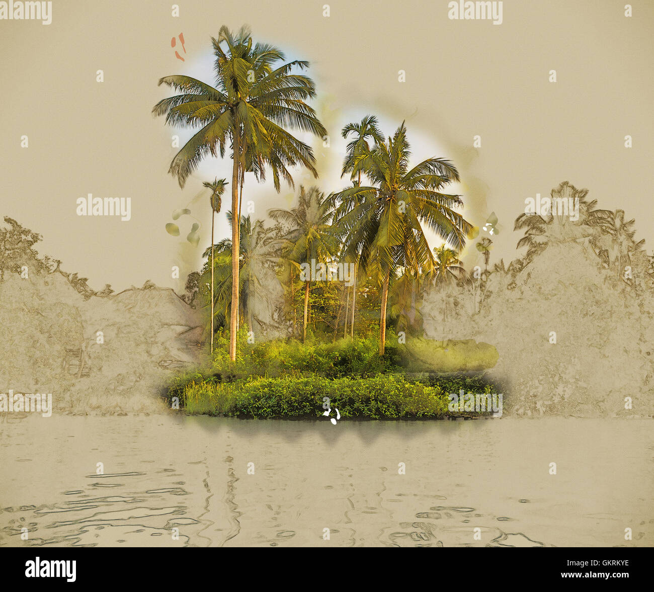 Palm trees on sea shore at beautiful sunny day Stock Photo - Alamy