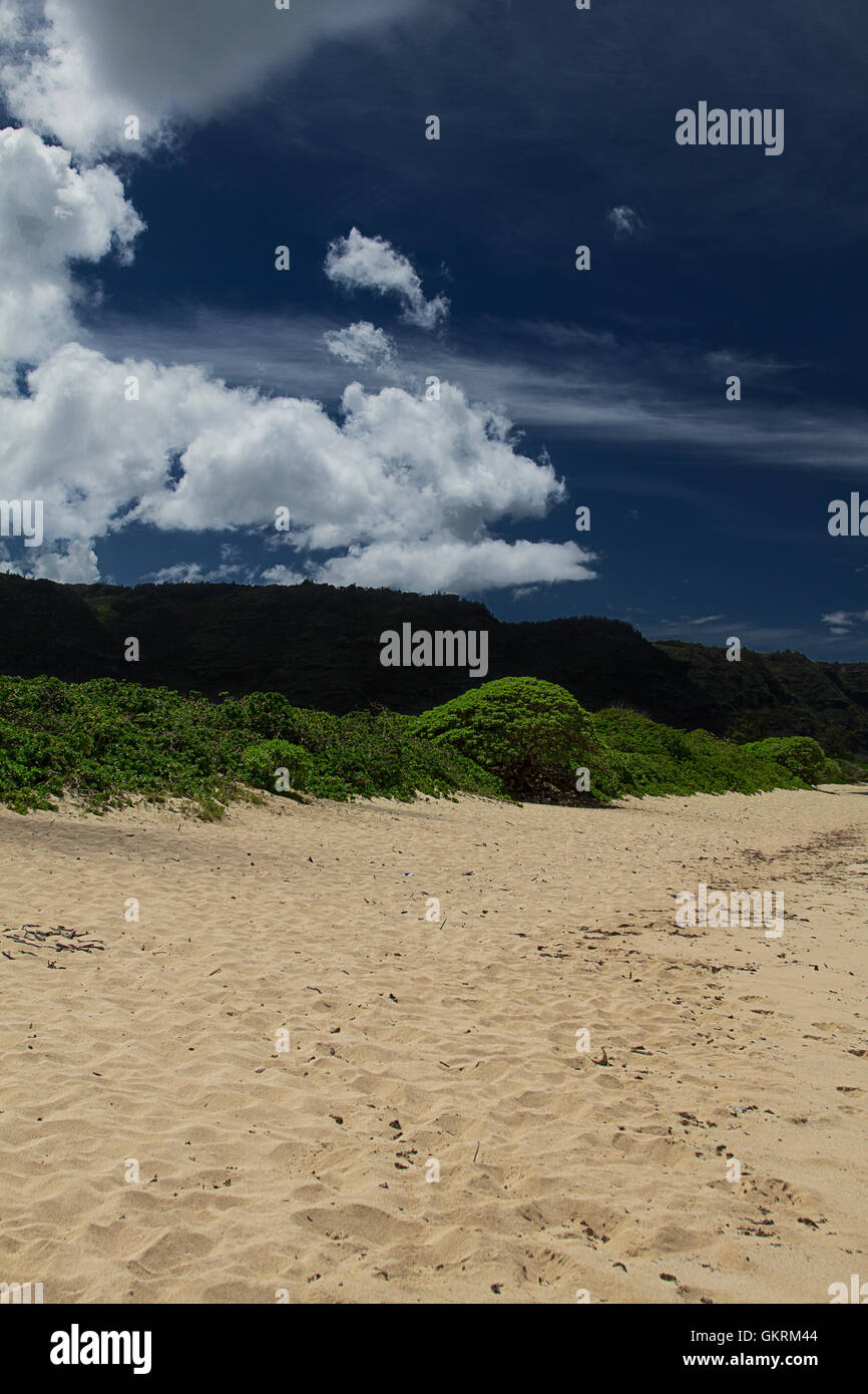 Hawaiin beach Stock Photo