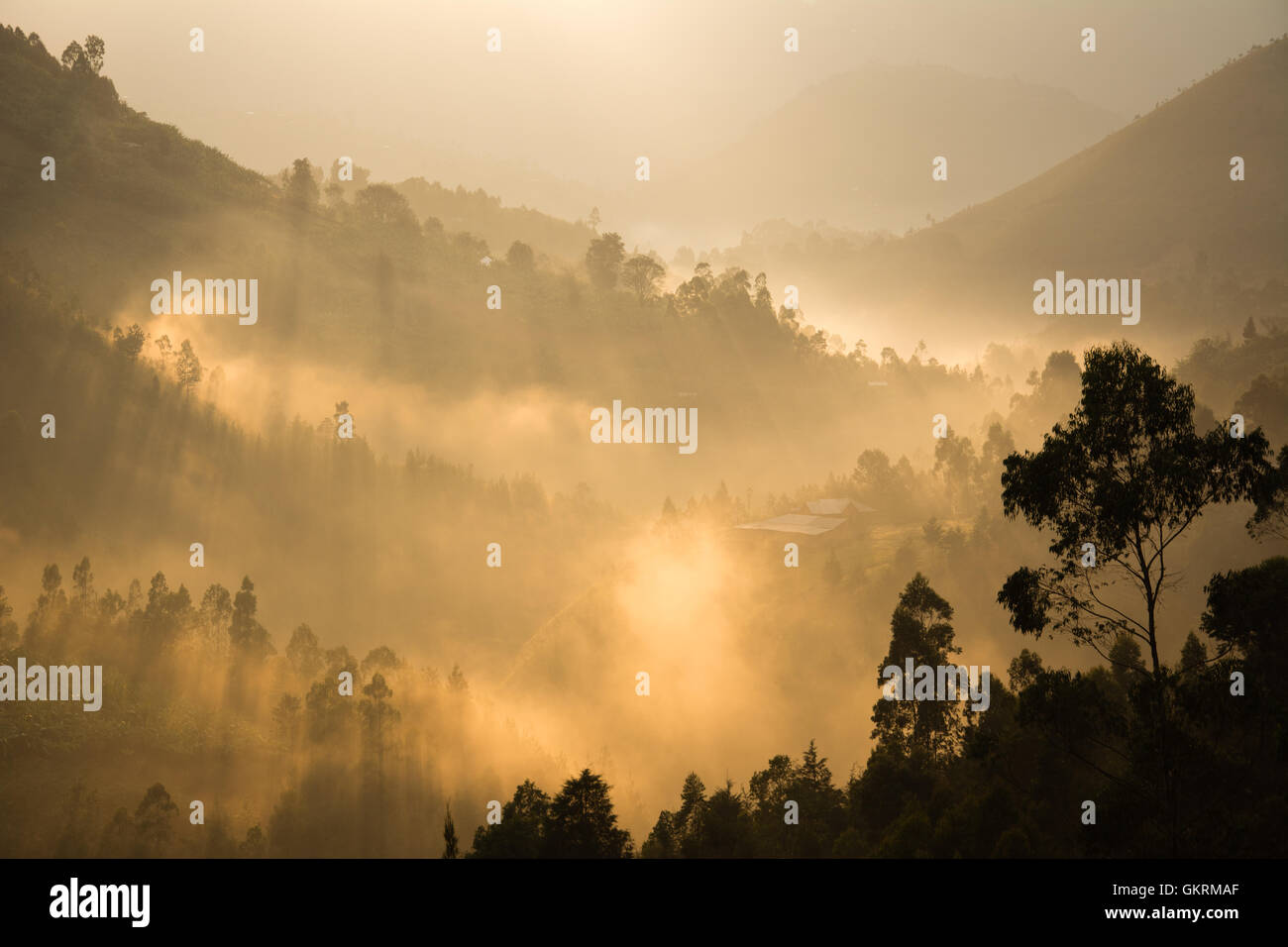 Itombwe Mountains, South Kivu, Democratic Republic of the Congo. Stock Photo