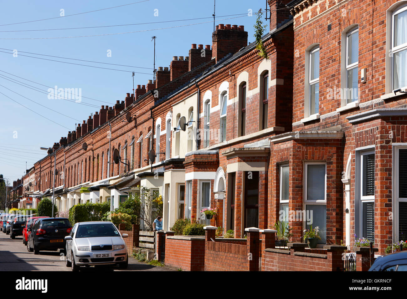 red brick victorian terraced townhouses rushfield avenue south belfast northern ireland Stock Photo