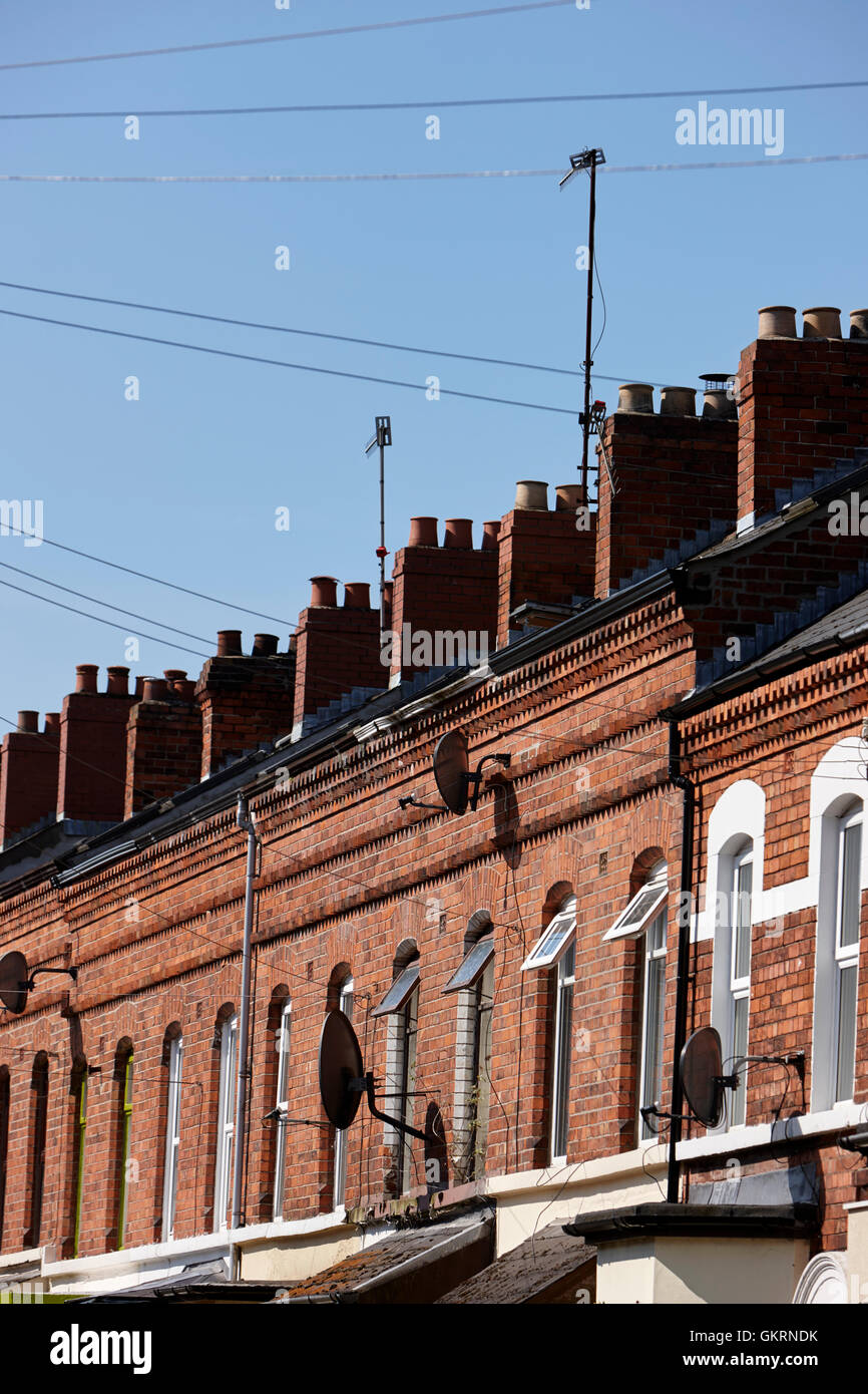 rows of chimneys on red brick victorian terraced townhouses rushfield avenue south belfast northern ireland Stock Photo