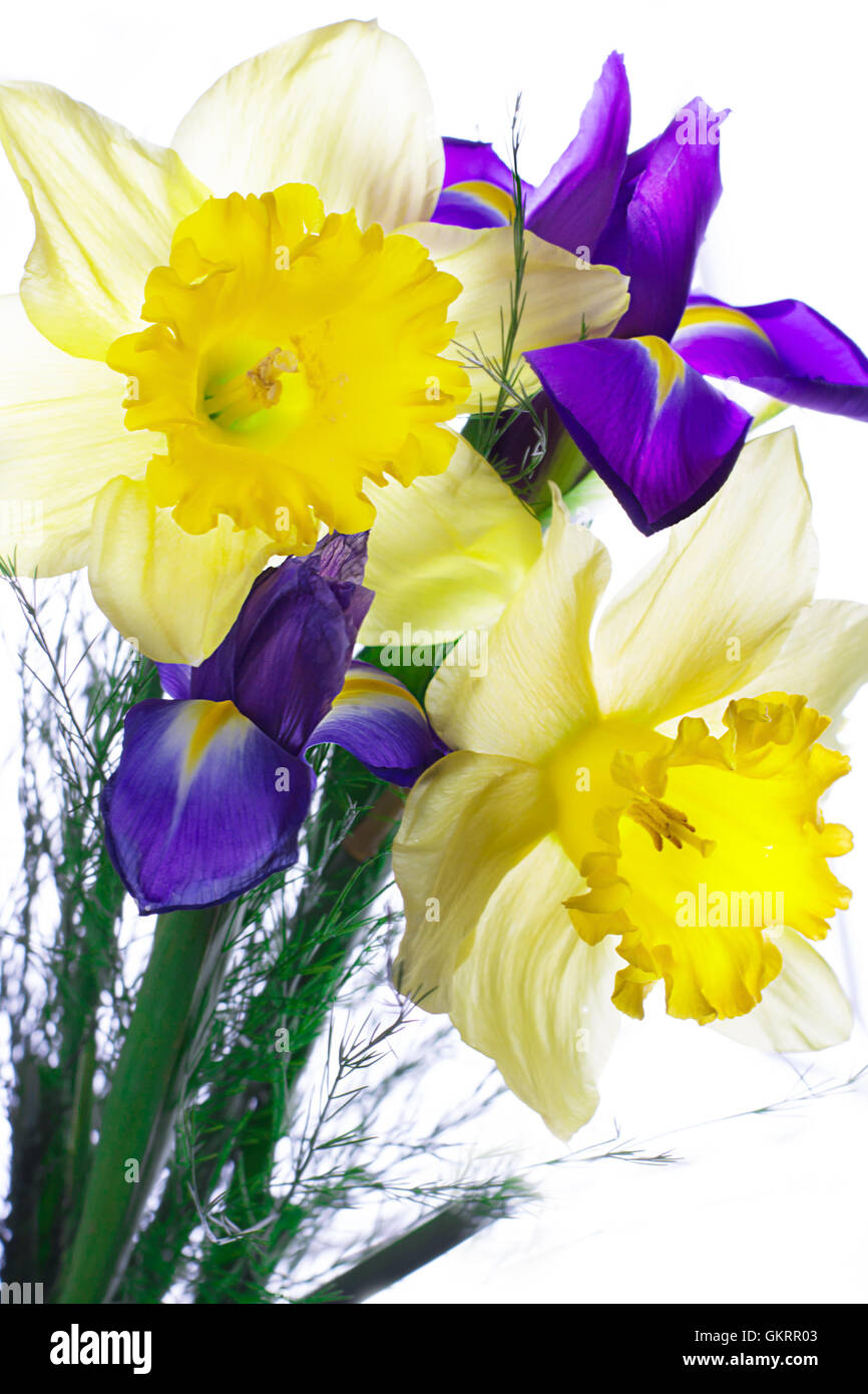 Bouquet of narcissus and iris Stock Photo Alamy