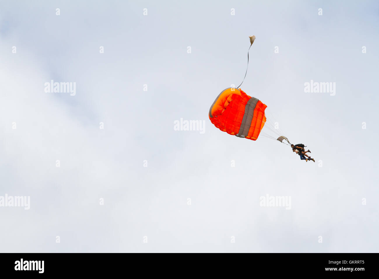 Skydiver Parachute Open Stock Photo Alamy