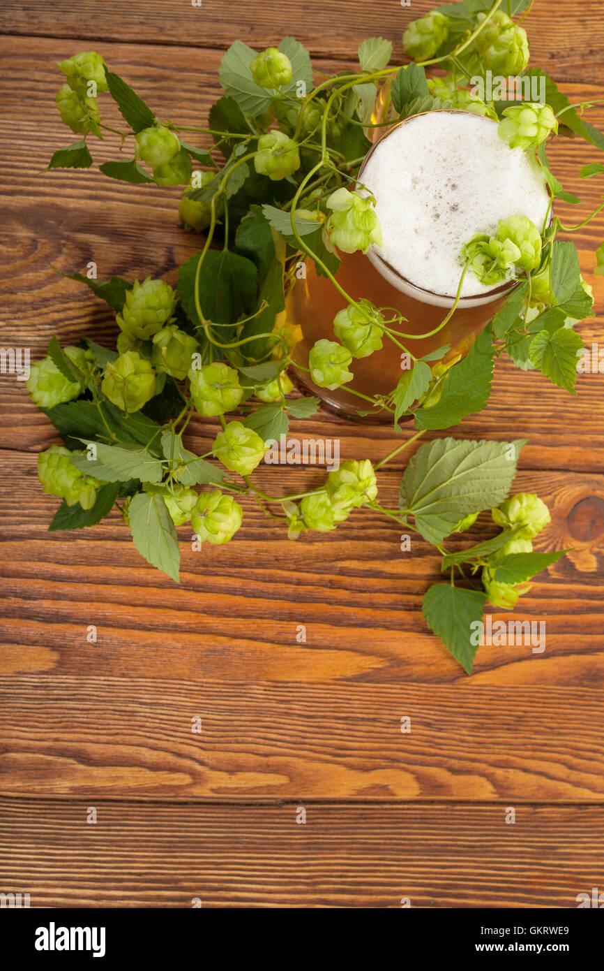 Pint and hop plant Stock Photo