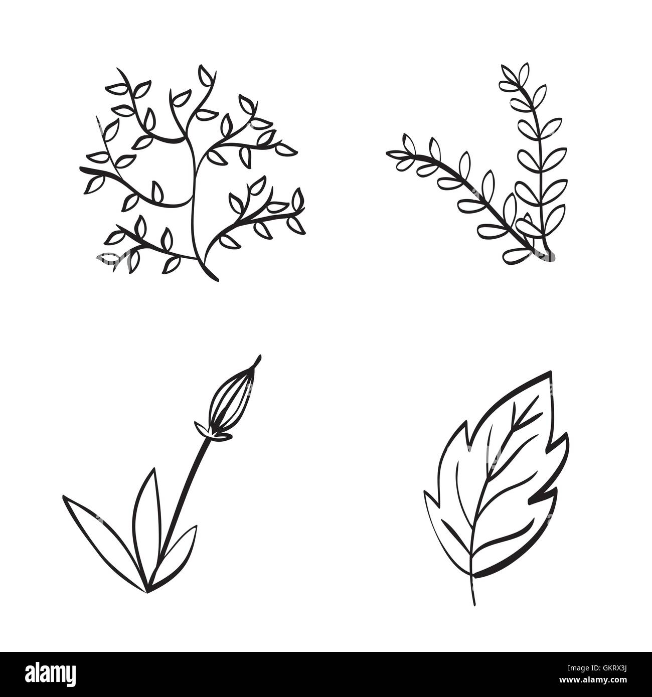 Floral design. Doodle illustration. white background Stock Vector Image ...