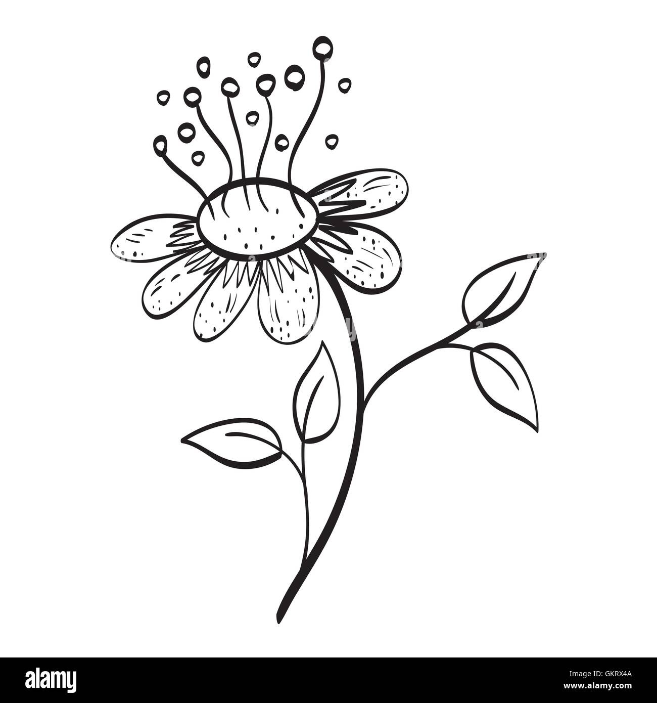 Floral design. Doodle illustration. white background Stock Vector Image ...