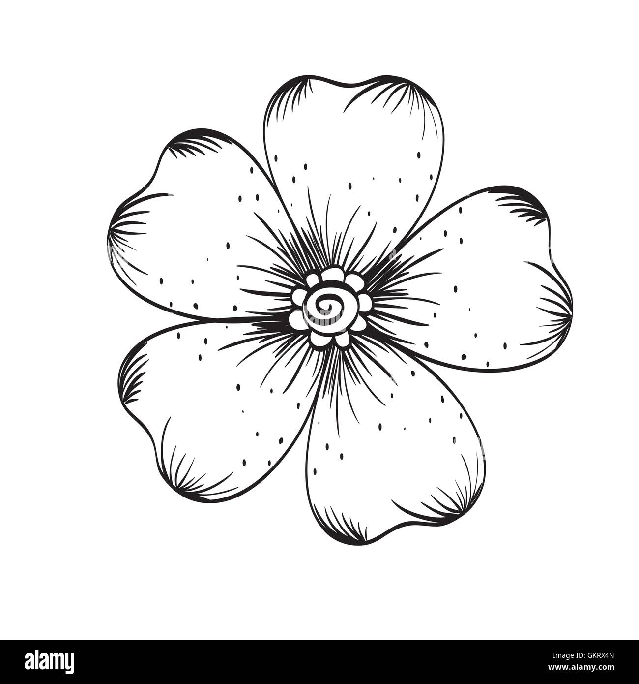 Floral design. Doodle illustration. white background Stock Vector Image ...