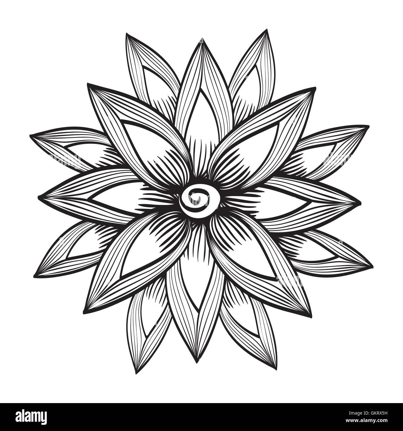 Floral design. Doodle illustration. white background Stock Vector Image ...