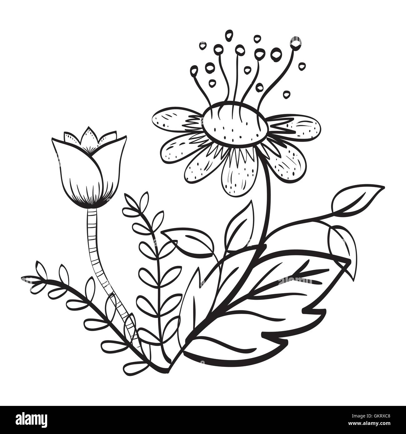 Floral design. Doodle illustration. white background Stock Vector Image ...