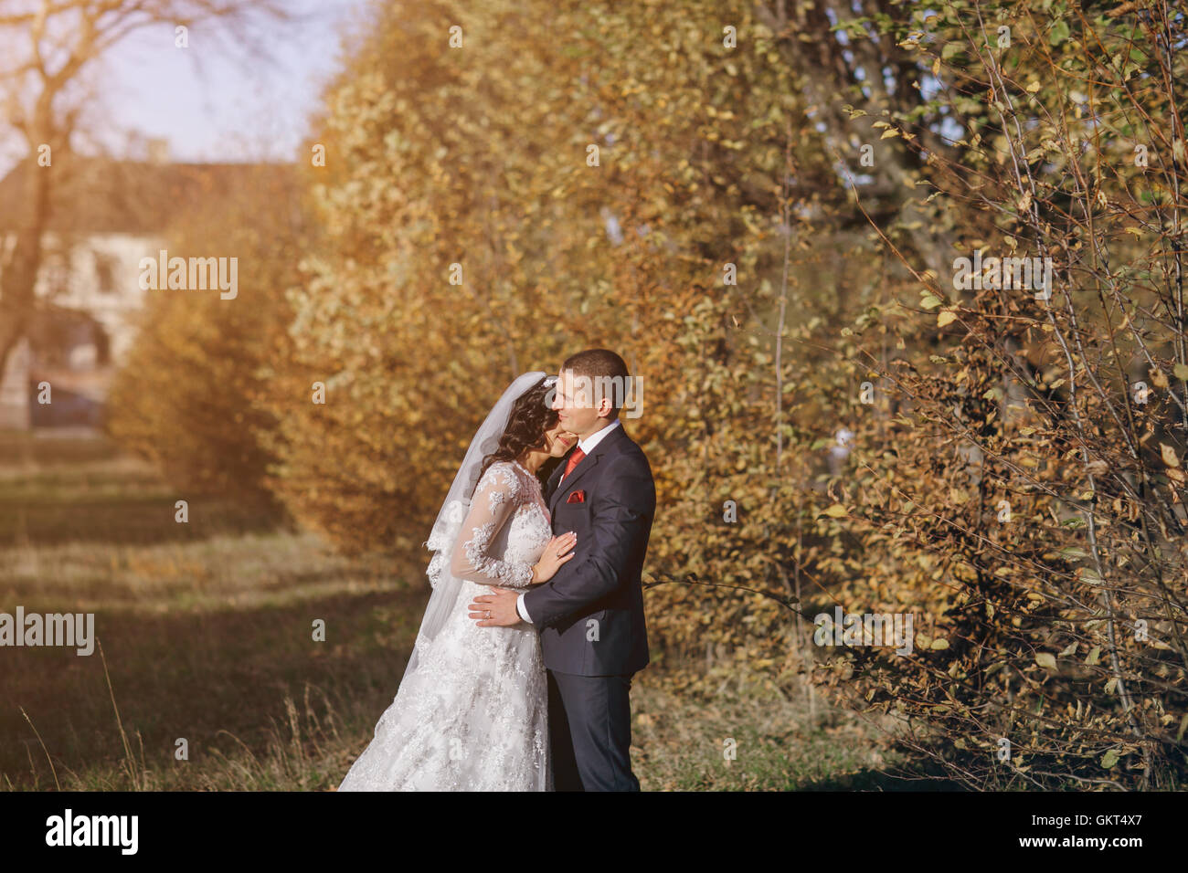 wonderful wedding day Stock Photo - Alamy