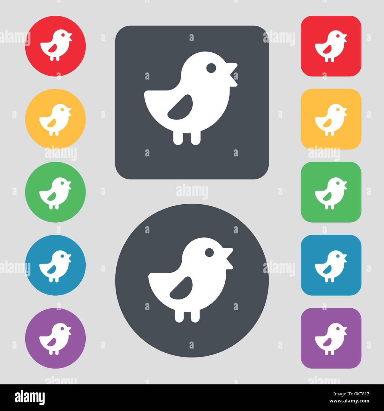 chicken, Bird icon sign. A set of 12 colored buttons. Flat design ...