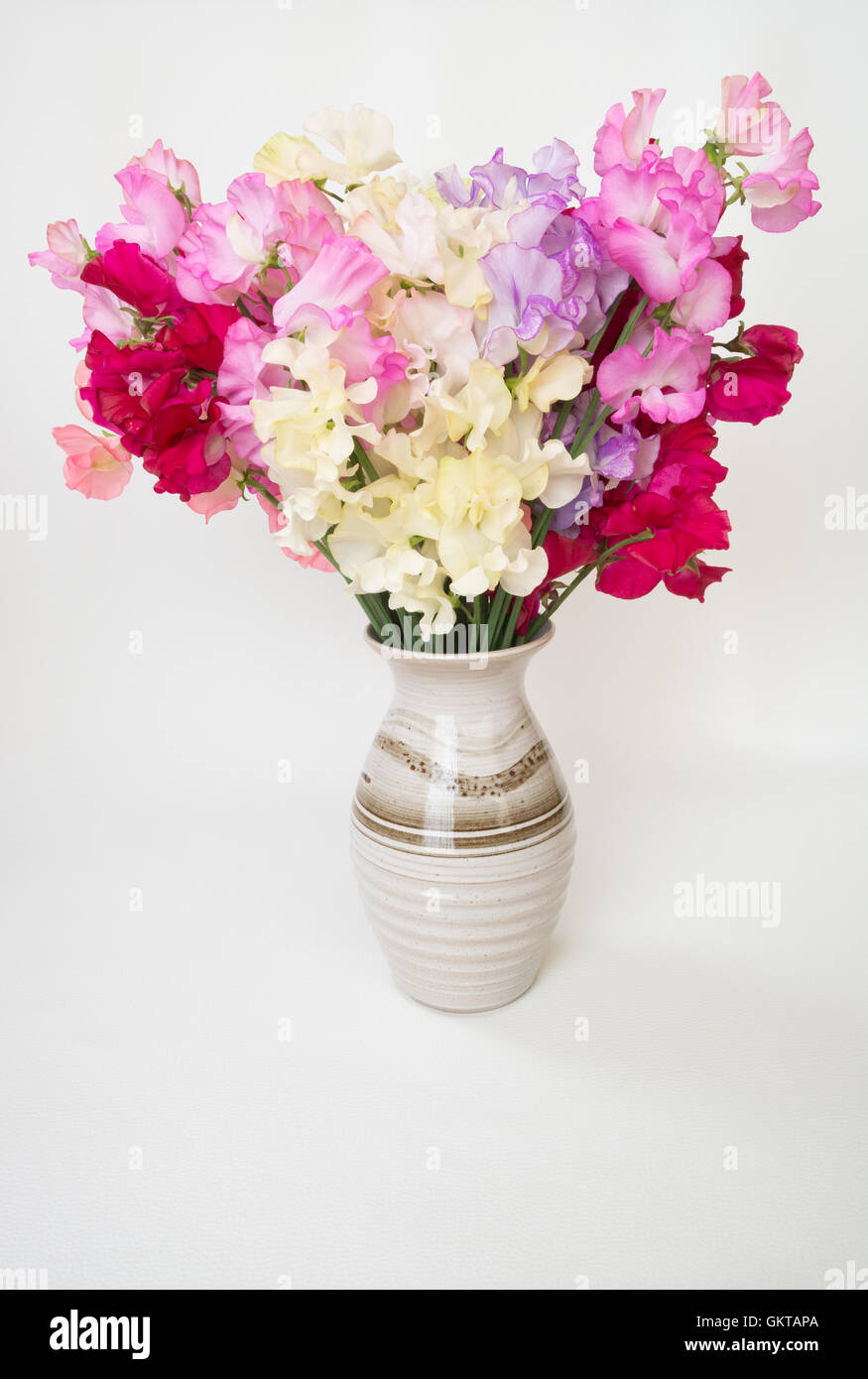 Vase Of Sweet Pea Flowers Stock Photo 115475986 Alamy