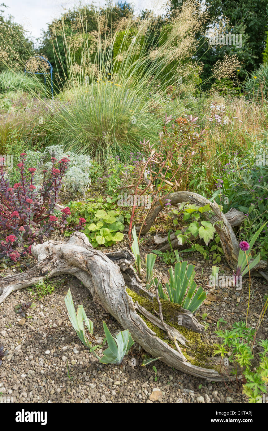 Garden border with sedum and grasses Stock Photo