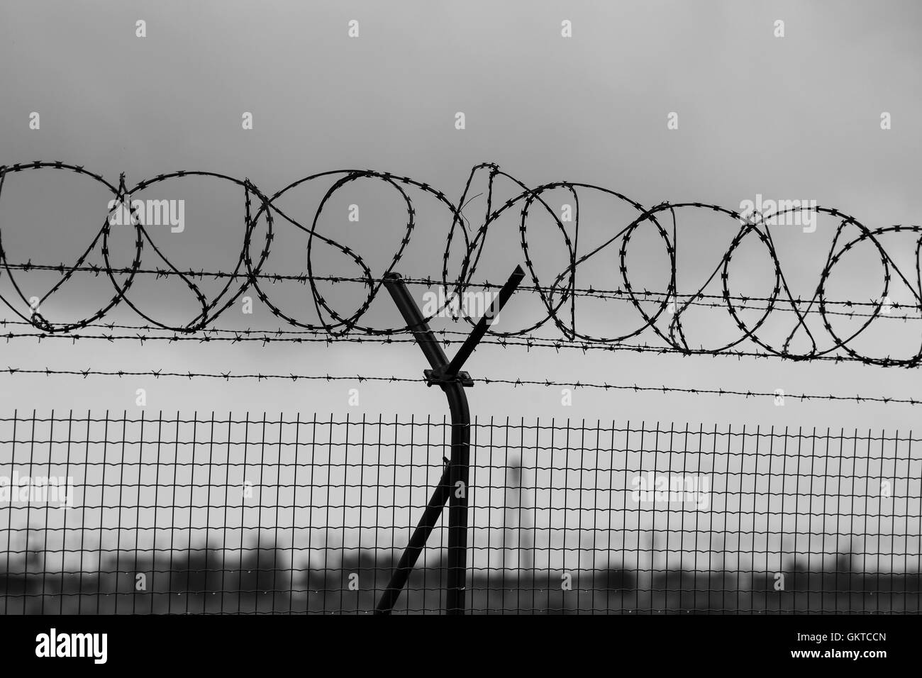 Barbed wire fence of restricted area Stock Photo - Alamy