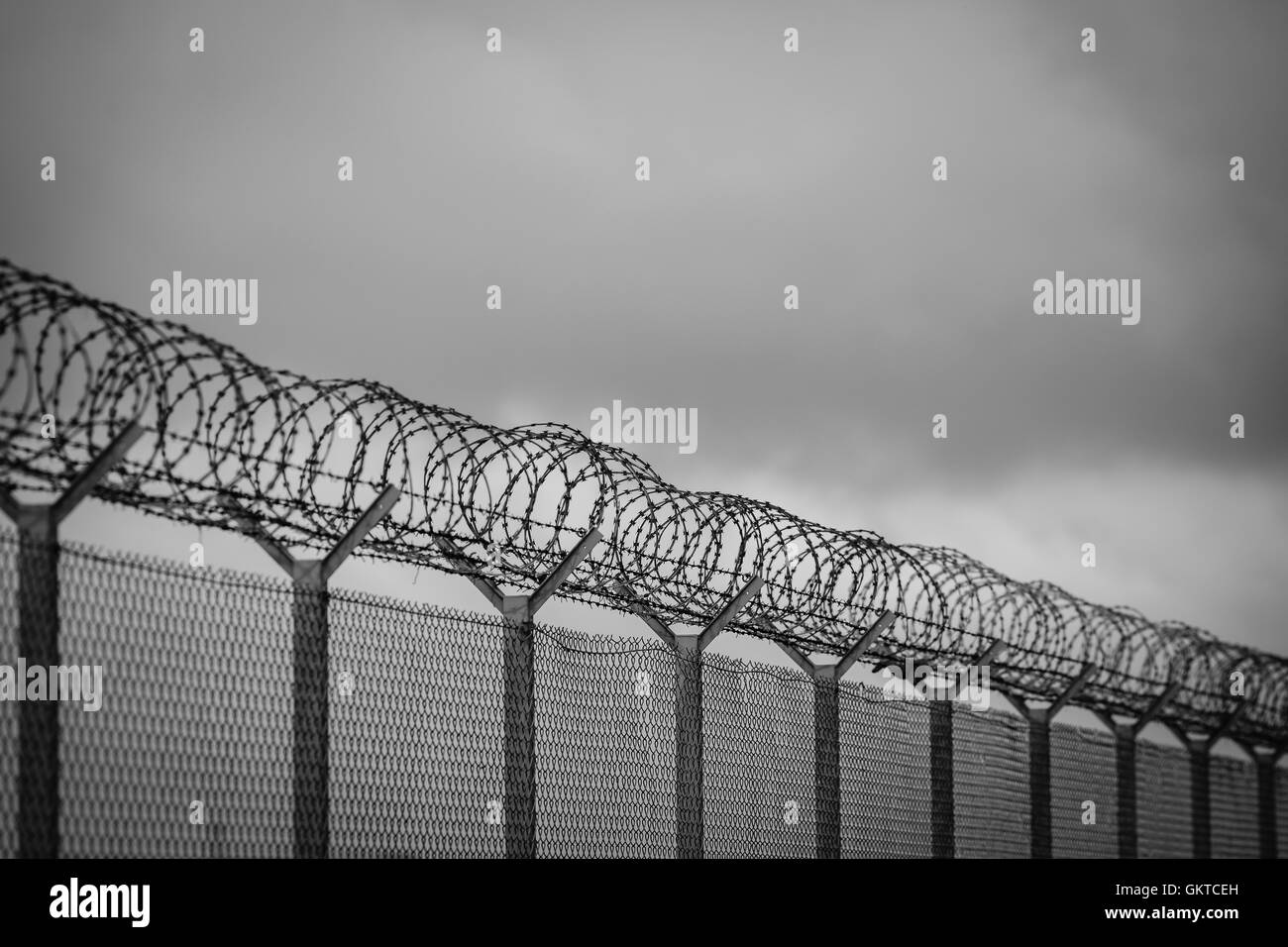 Barbed wire fence of restricted area Stock Photo - Alamy