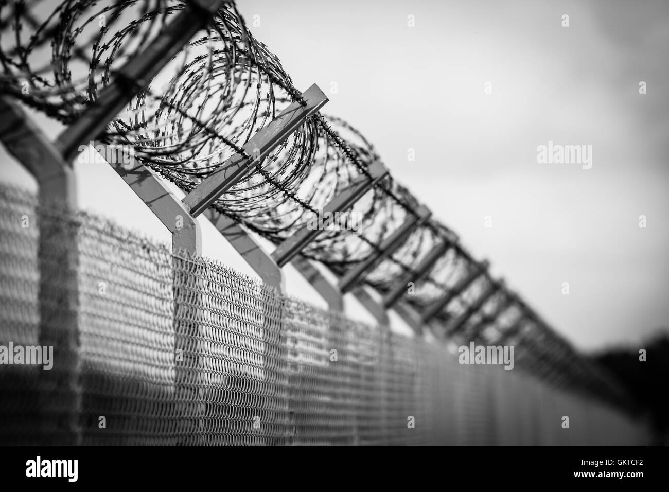 Barbed wire fence of restricted area Stock Photo - Alamy