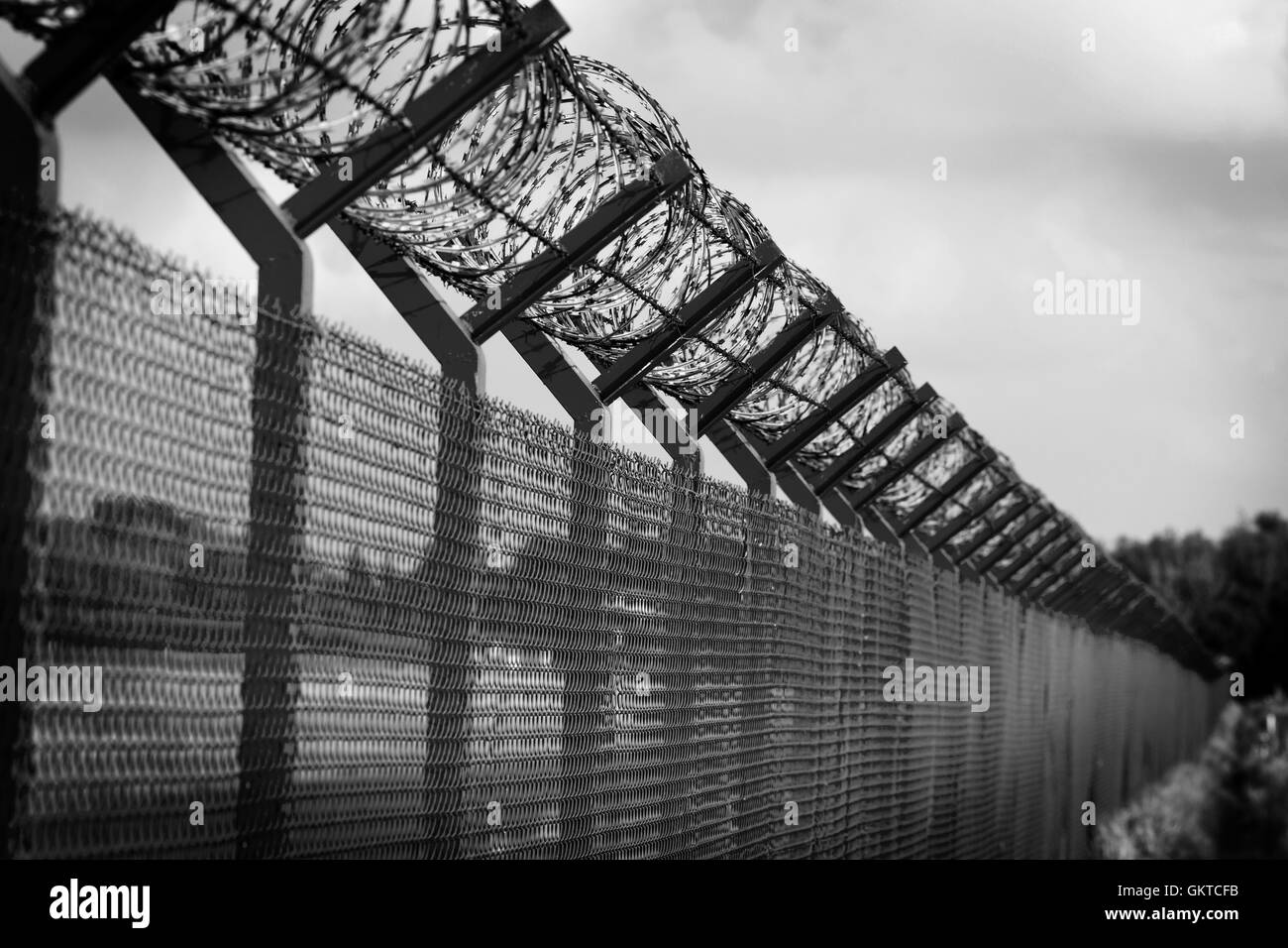 Barbed wire fence of restricted area Stock Photo