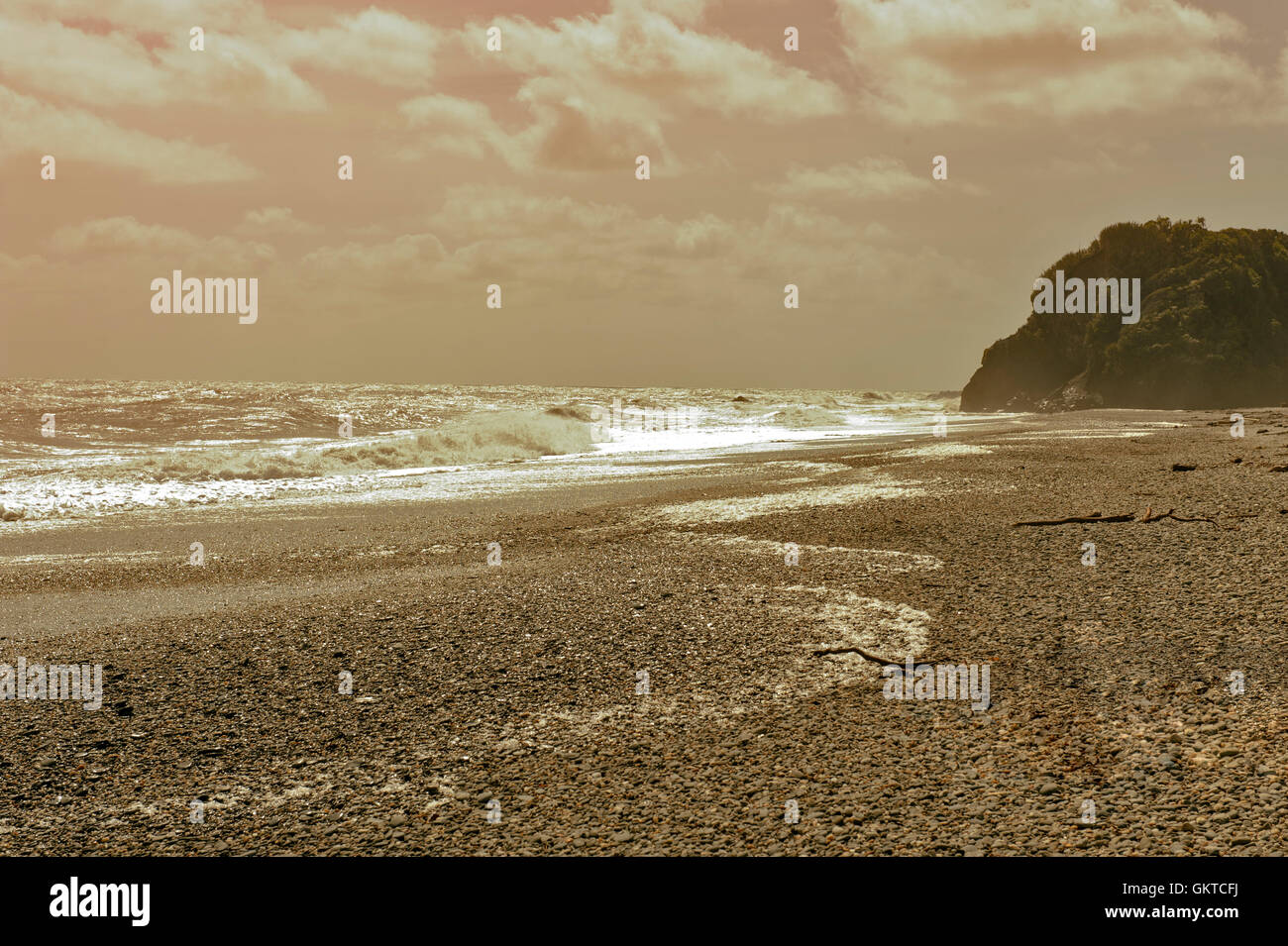 Pebble beach of Tauparikaka Marine Reserve, Haast, New Zealand Stock ...