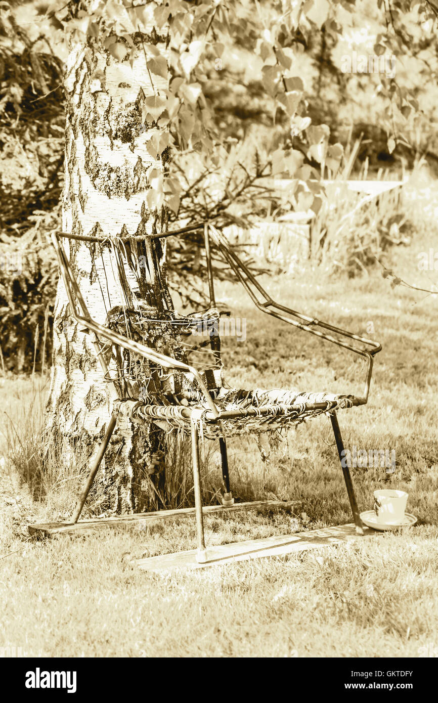 Old chair near birch and cup for relax and memorys in sepia Stock Photo