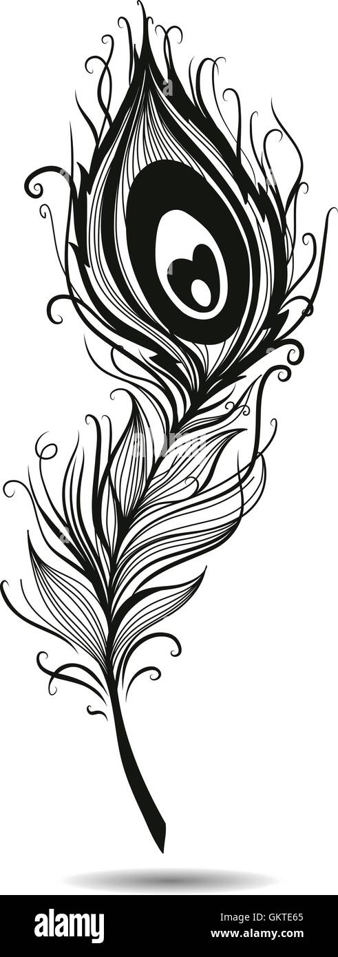 Peacock Tattoo Images  Browse 17022 Stock Photos Vectors and Video   Adobe Stock