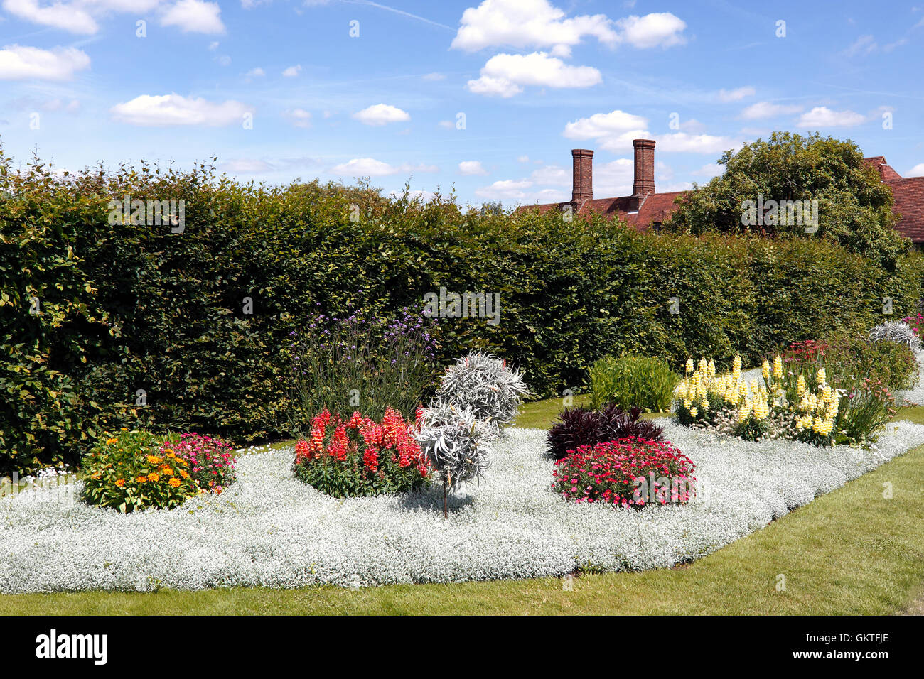 SUMMER BEDDING AT RHS WISLEY. UK Stock Photo Alamy