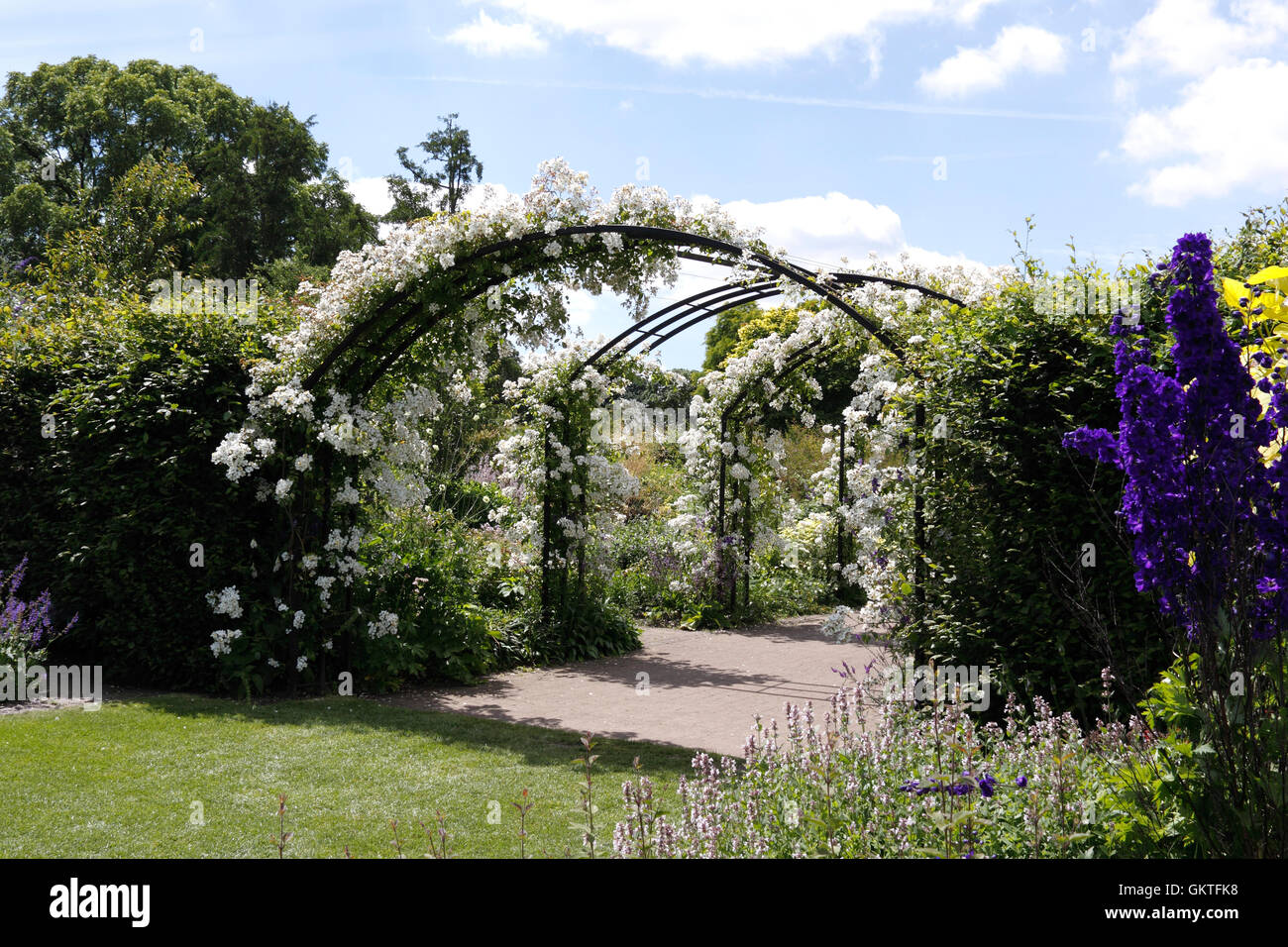Rose arch with climbing plants hi-res stock photography and images - Alamy