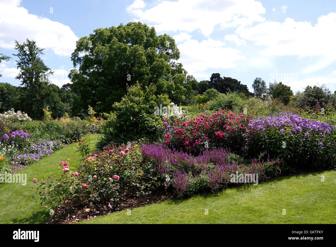 SUMMER BEDDING AT RHS WISLEY. UK Stock Photo Alamy