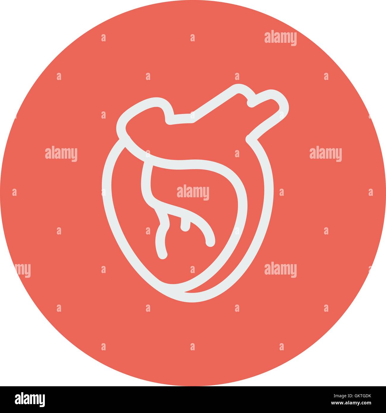 Human heart anatomy outline hi-res stock photography and images - Alamy