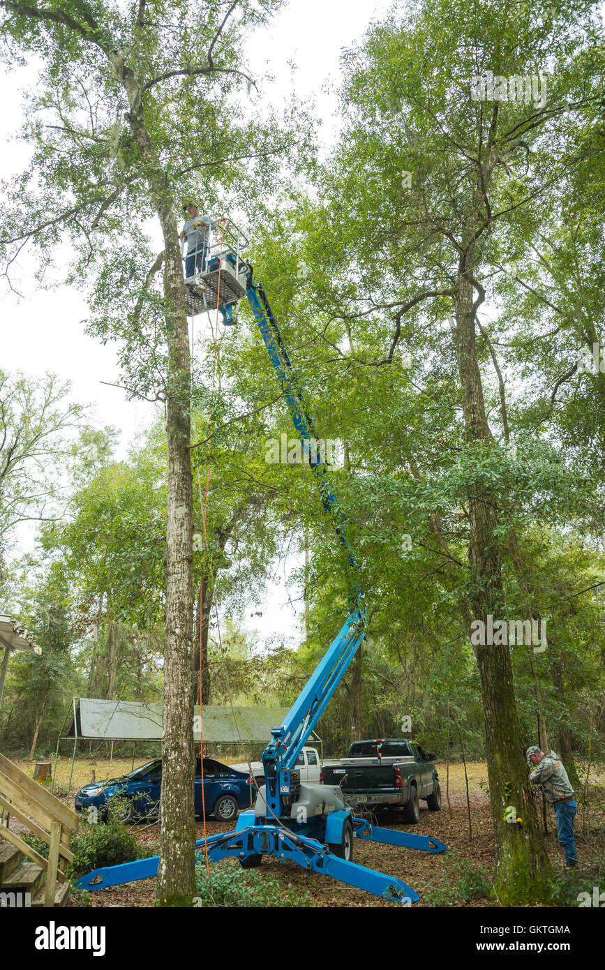 Tree trimming truck hi-res stock photography and images - Alamy
