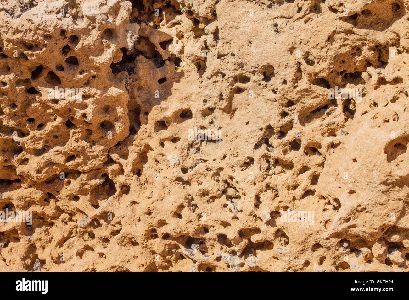 Closeup of Porous Rocks Stock Photo Alamy