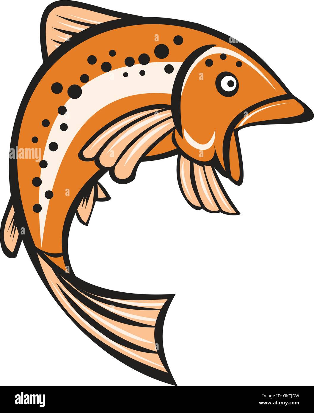 Rainbow trout Stock Vector Images - Alamy