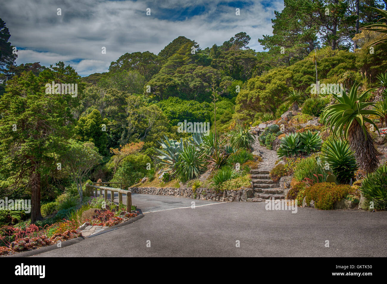 Botanic garden in Wellington, New Zealand Stock Photo