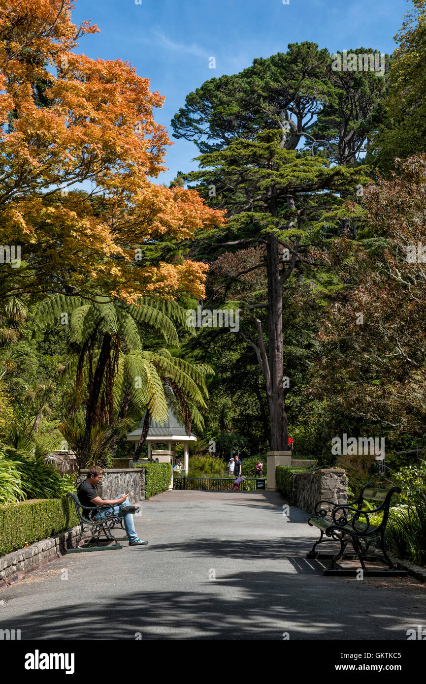 Visitors resting at Wellington Botanic Garden, the largest public park in town Stock Photo