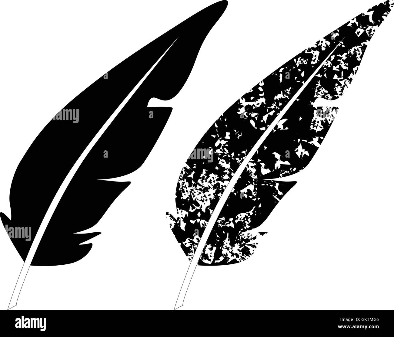 Feather Stock Vector