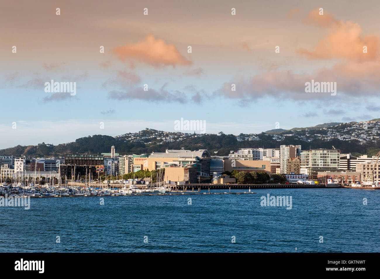 Wellington waterfront CBD, north island of New Zealand Stock Photo