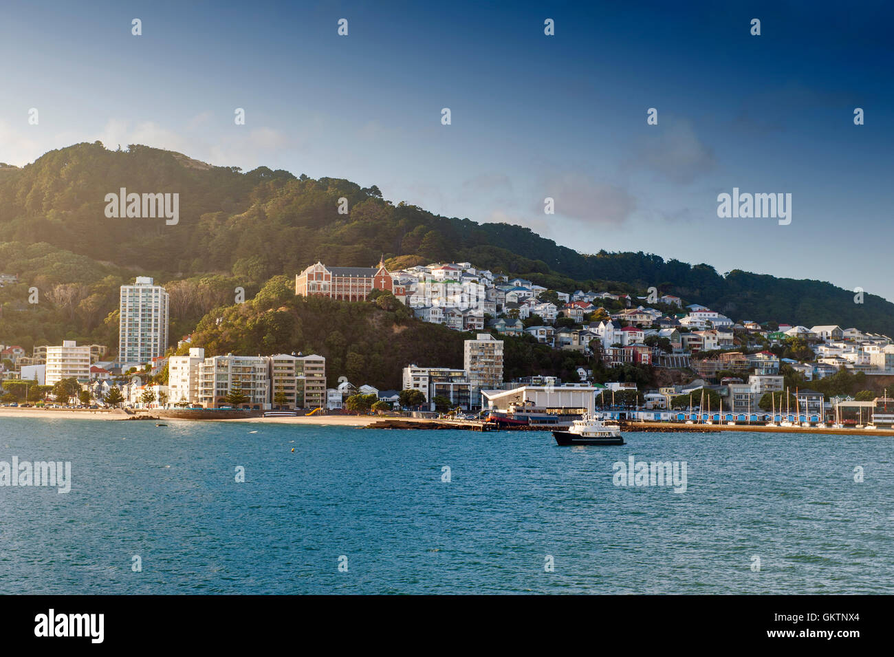 Wellington waterfront CBD, north island of New Zealand Stock Photo