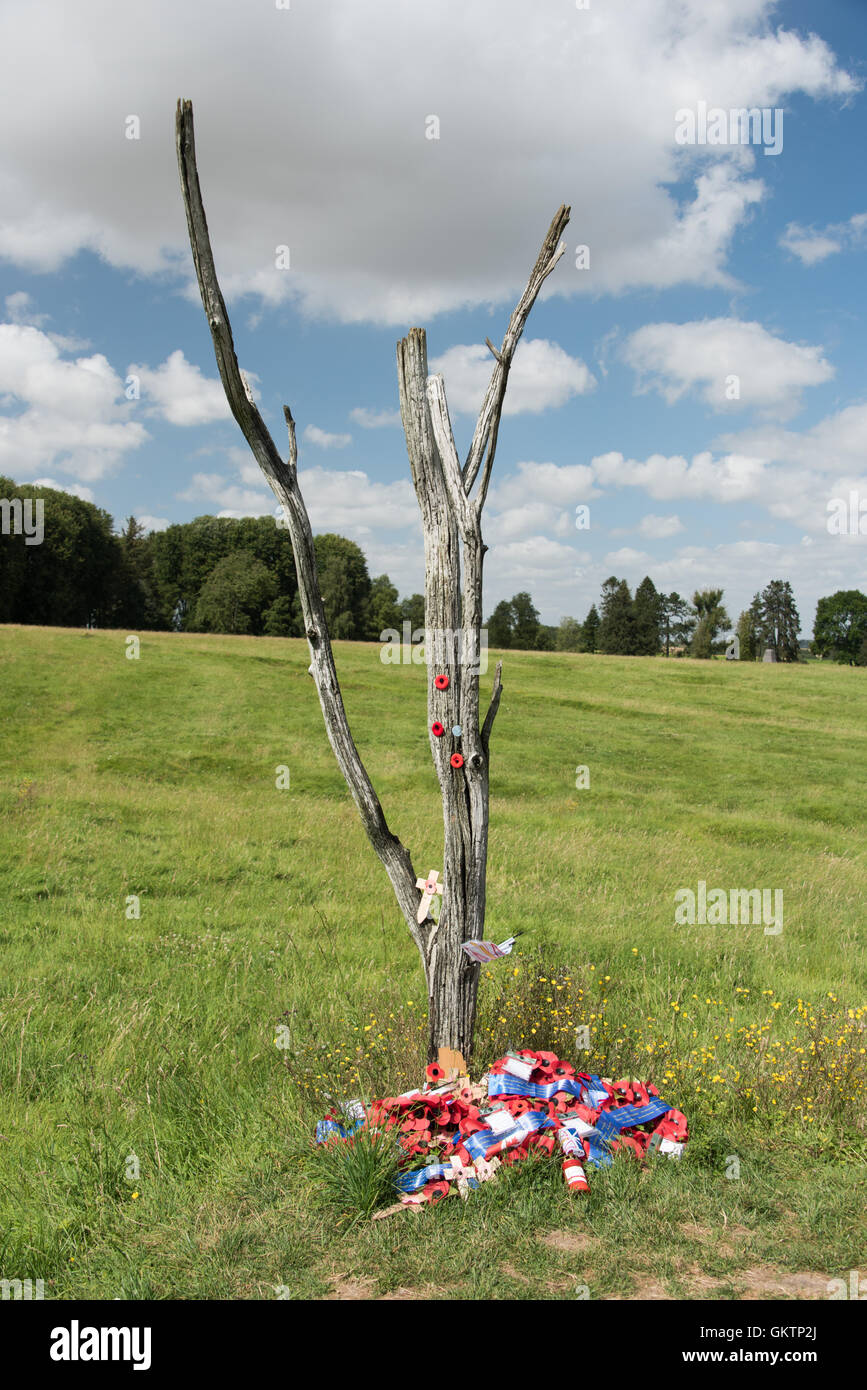 The Danger tree at Beaumont Hamel memorial Somme France Stock Photo