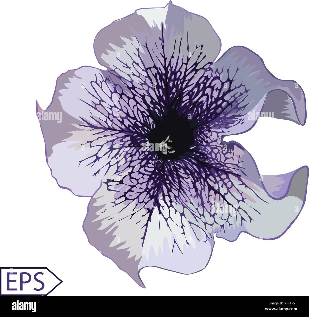 Design of floral card. Vector illustration Stock Vector Image & Art - Alamy