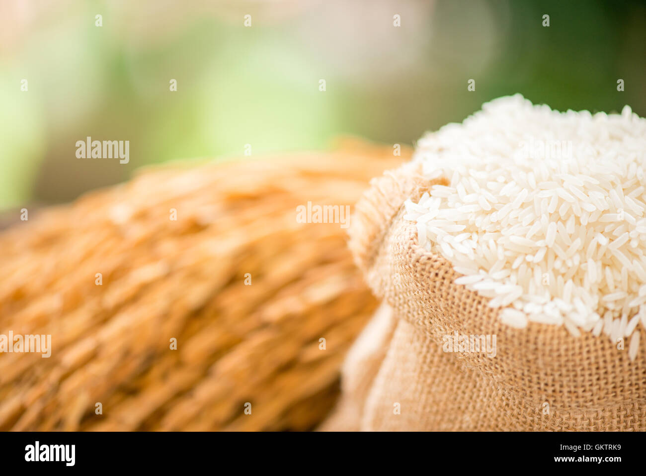 white rice in burlap sack with rice grain Stock Photo