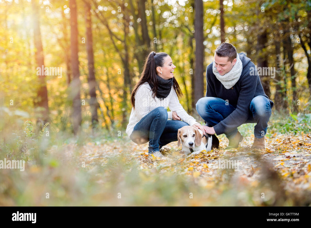 Beautiful young couple walking a dog in autumn forest Stock Photo - Alamy