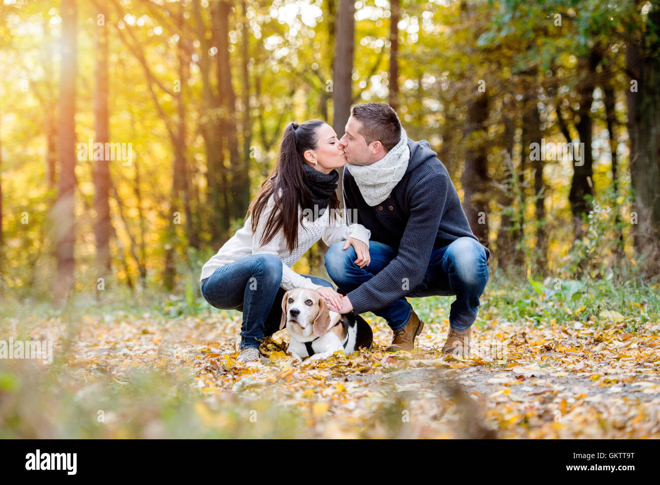 Beautiful young couple walking a dog in autumn forest Stock Photo - Alamy