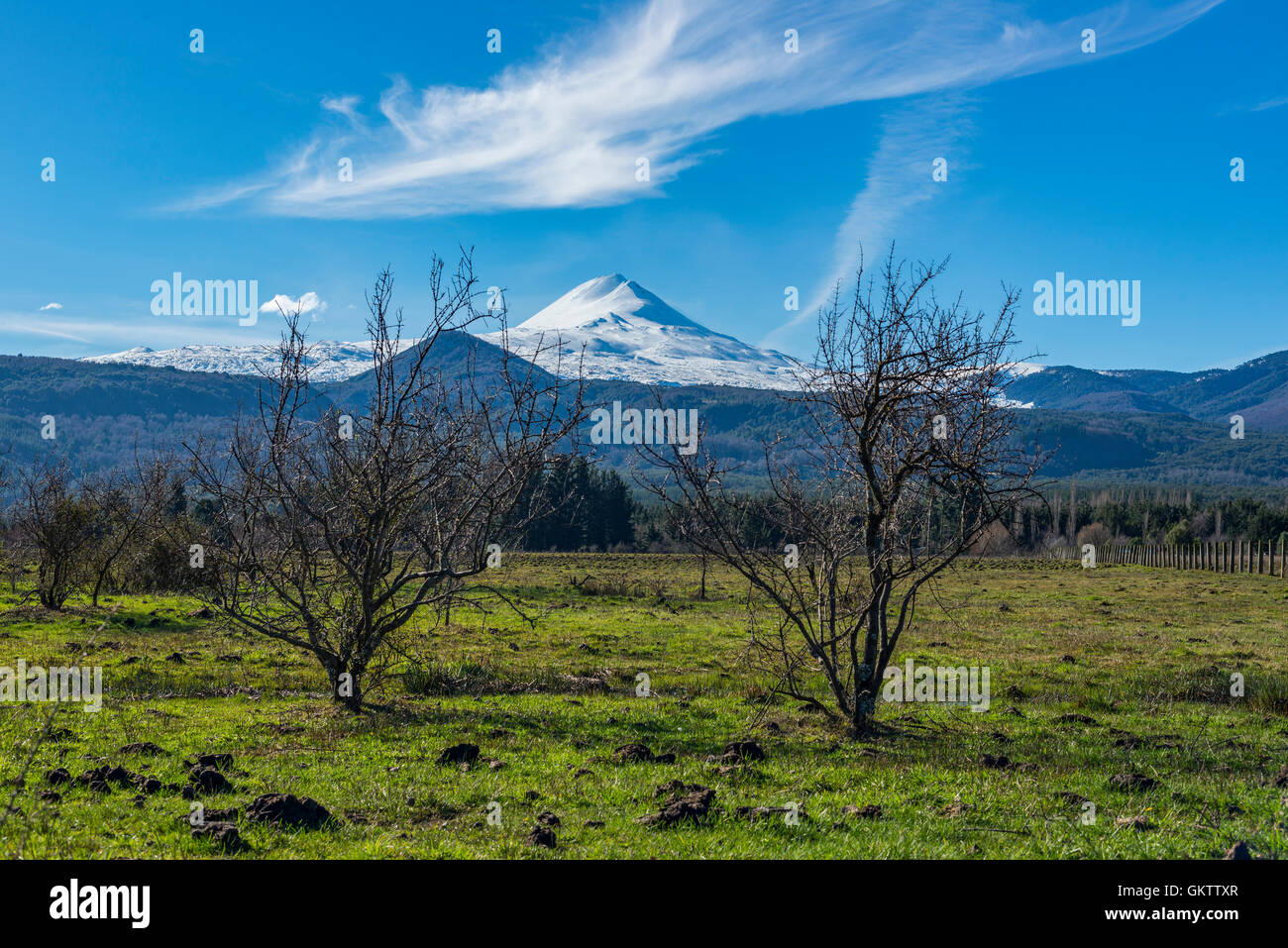 Volcan LLaima, region de la Araucania. LLaima Volcano, Araucania region. Patagonia, Chile. Stock Photo