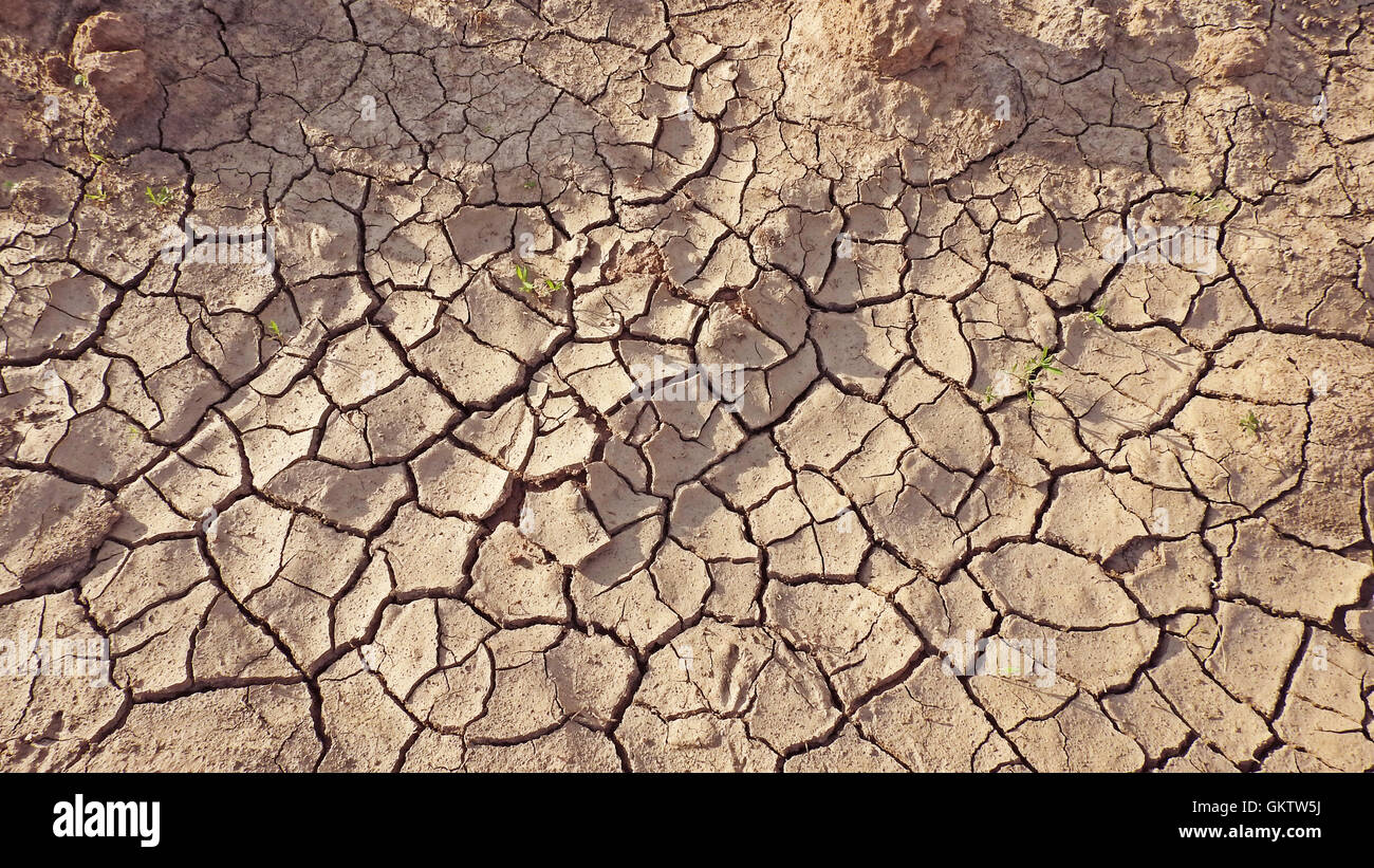 Cracks in dry clay soil hi-res stock photography and images - Alamy