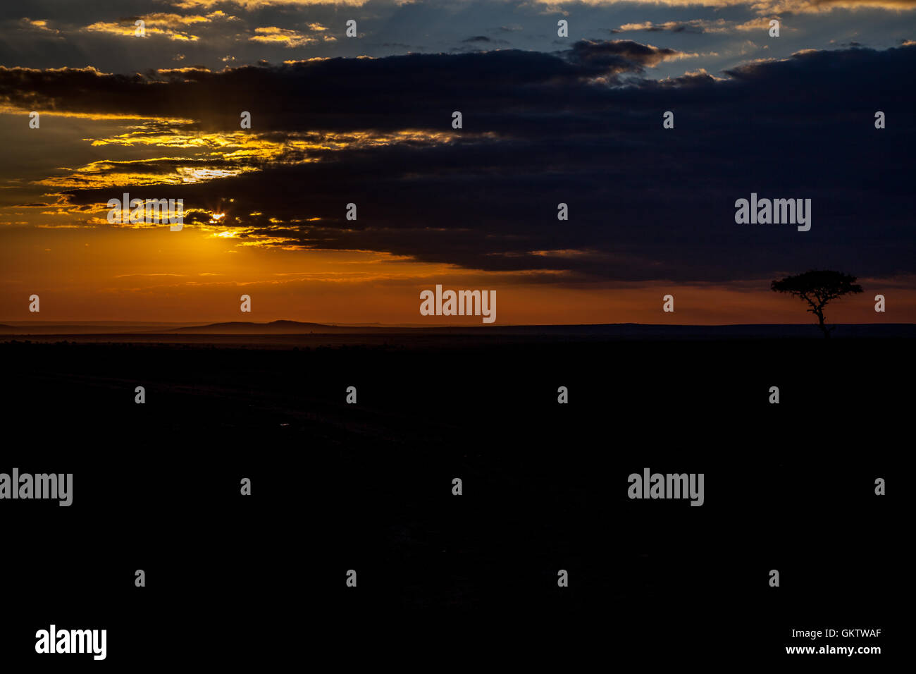 Massai mara natural park hi-res stock photography and images - Alamy