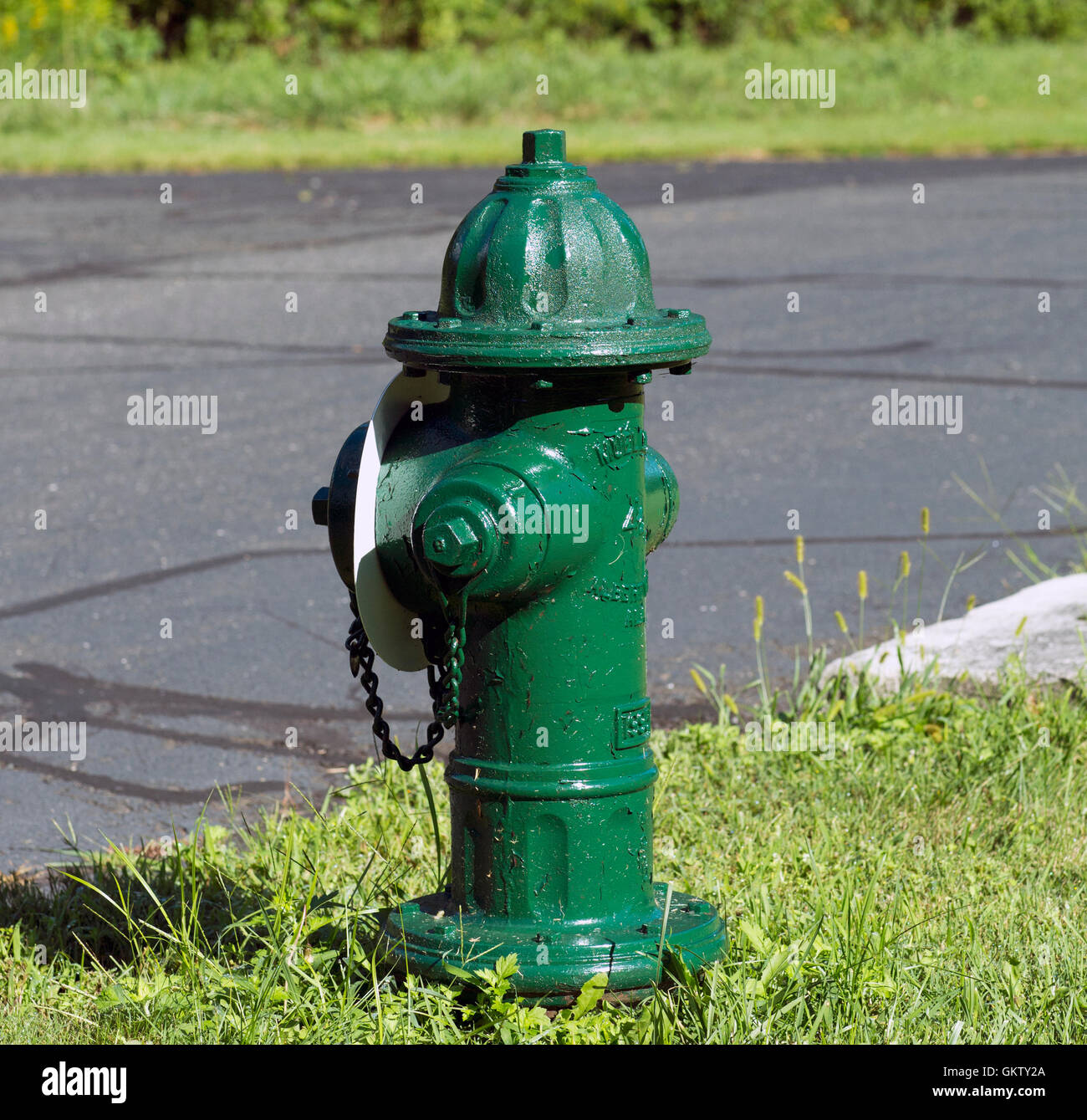 Rural green fire hydrant in the grass along side a country road. Stock Photo