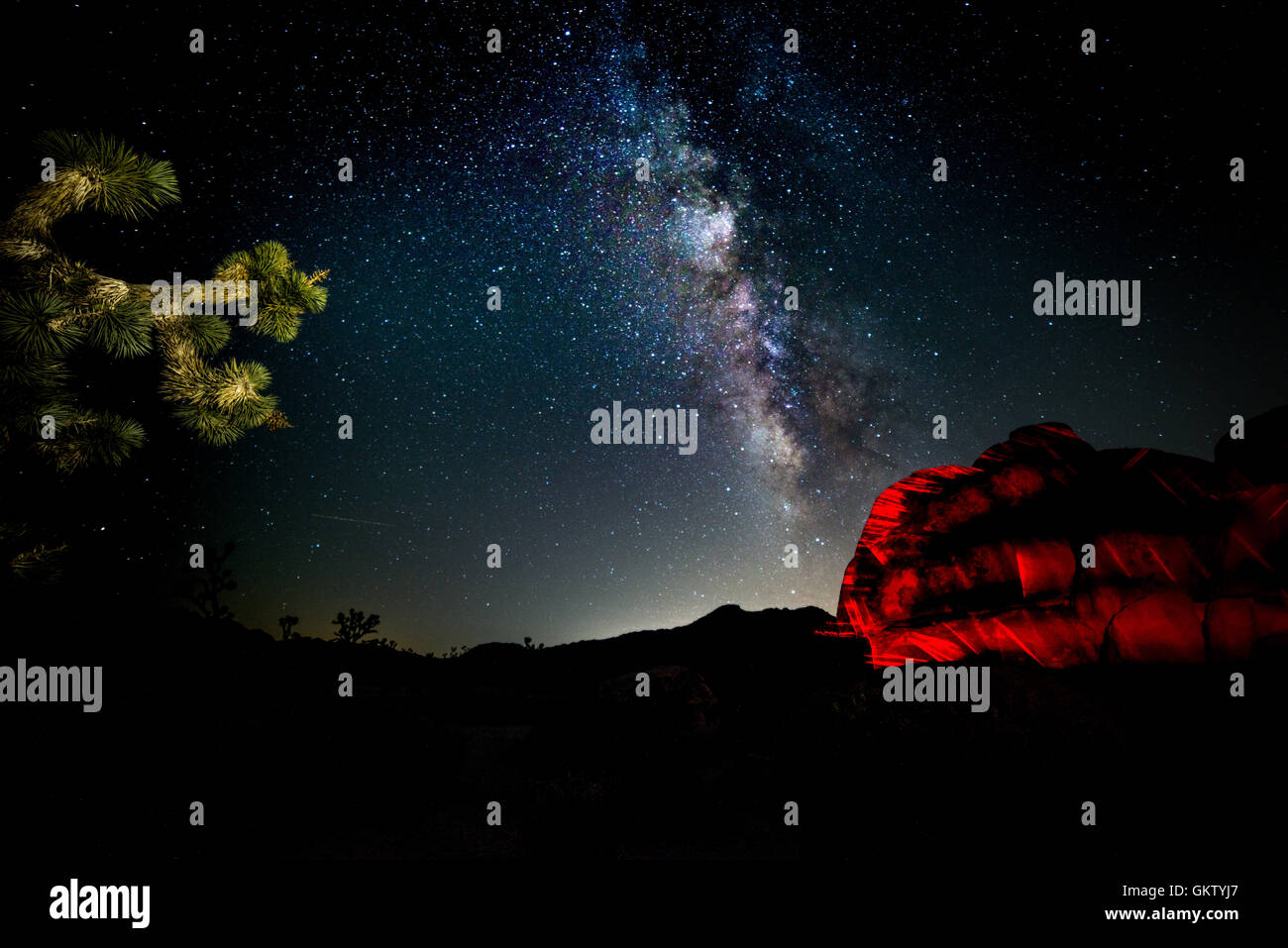 Joshua Tree Night Sky with Milky Way Stock Photo - Alamy