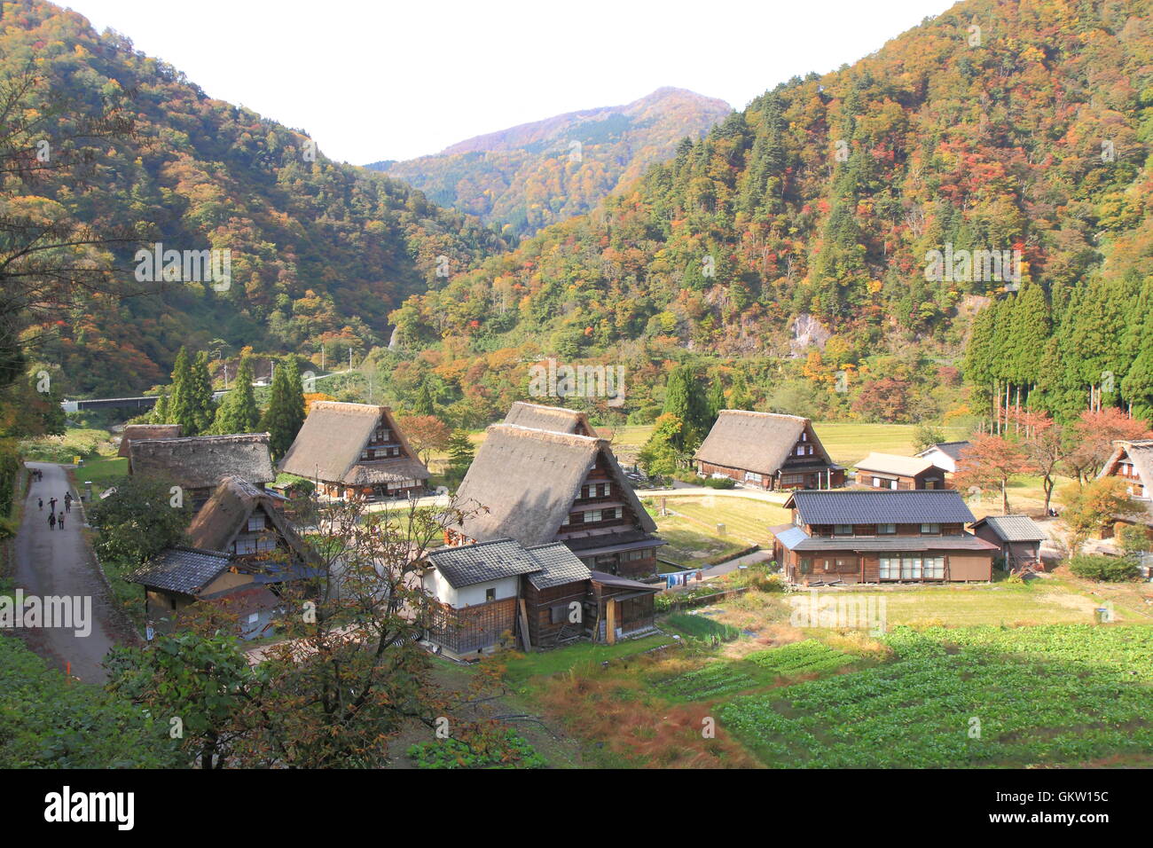 Gokayama traditional village in Japan, the UNESCO World heritage list due to its traditional gassho zukuri houses. Stock Photo
