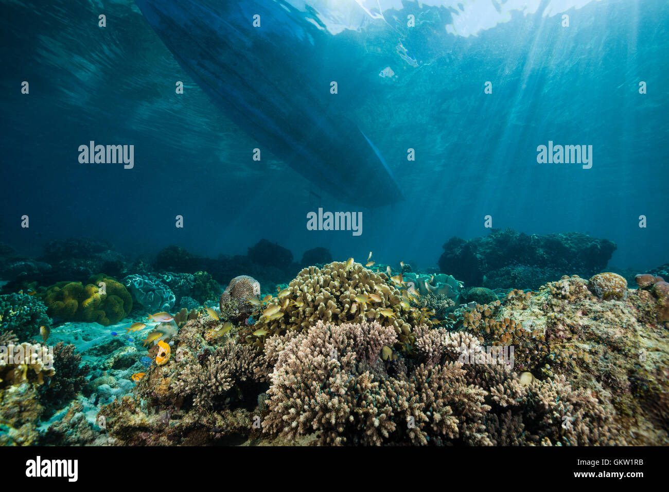 Diving Boat over Coral Reef, Ambon, Moluccas, Indonesia Stock Photo