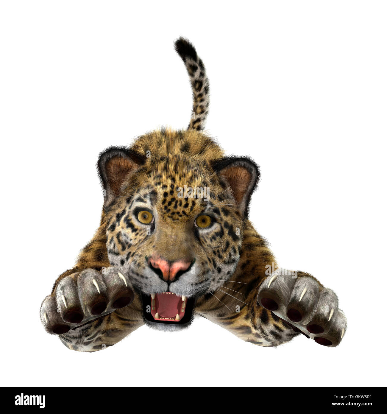 3D rendering of a big cat jaguar isolated on white background Stock Photo